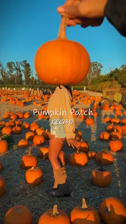 Pumpkin Patch 🎃