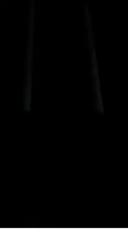 Light Sabers