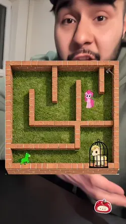 Maze rescue pony