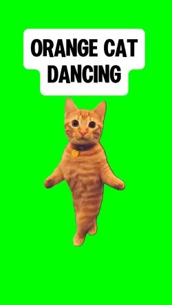 ORANGE CAT DANCING