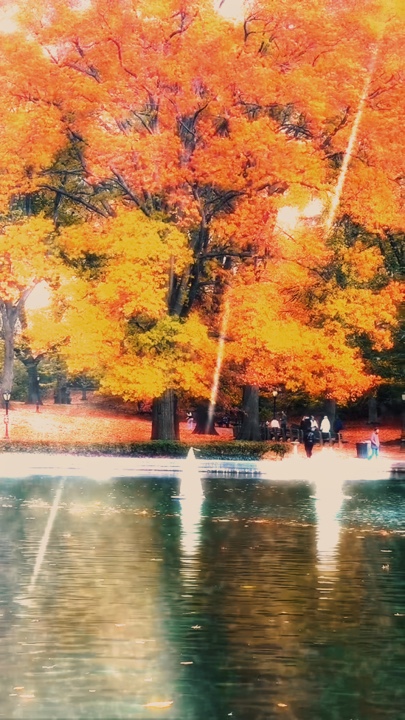 Parque