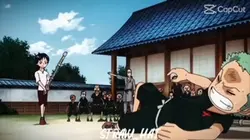 Zoro edit