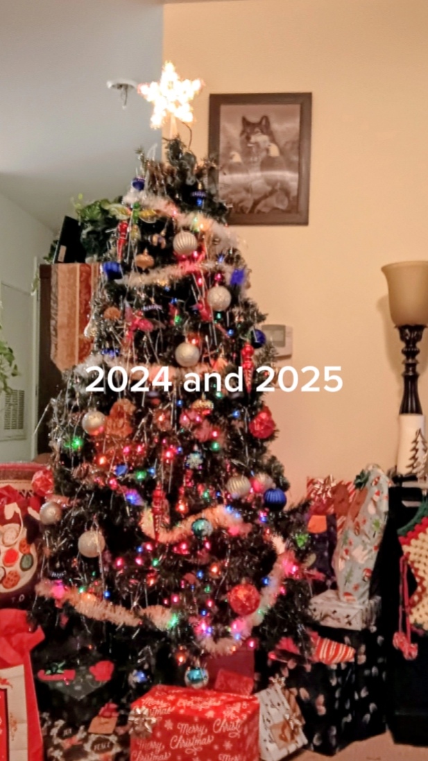Nov2024Nov2025