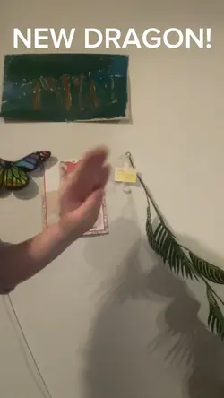 New dragon Alert!!
