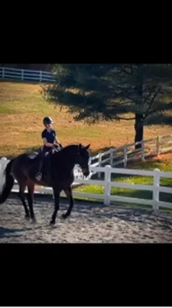 Horse:Bean!!IM 18!!!