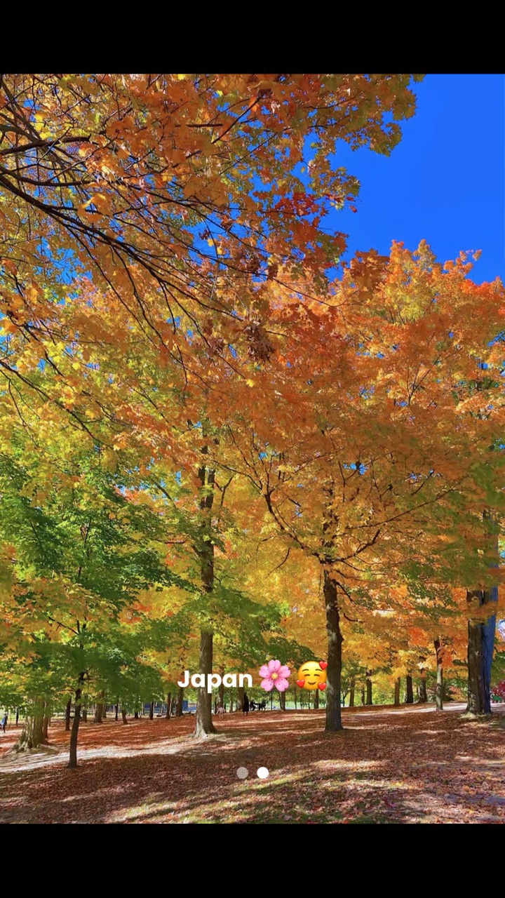Tendance de l'effet Japon