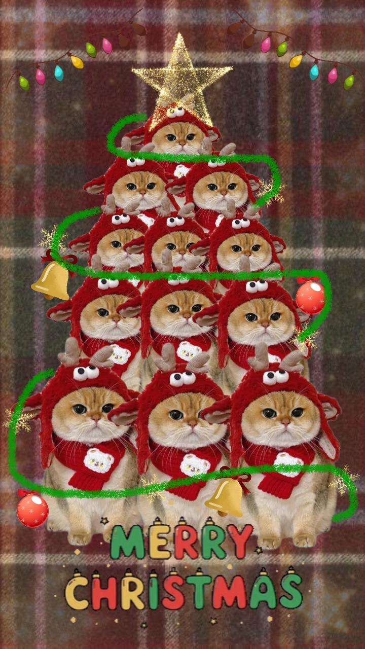 Linda Mascota 🎄
