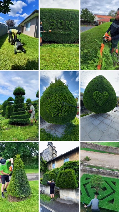 Jardinagem