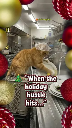 Christmas Fur Helper