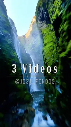 3 Videos