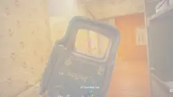 Montage 