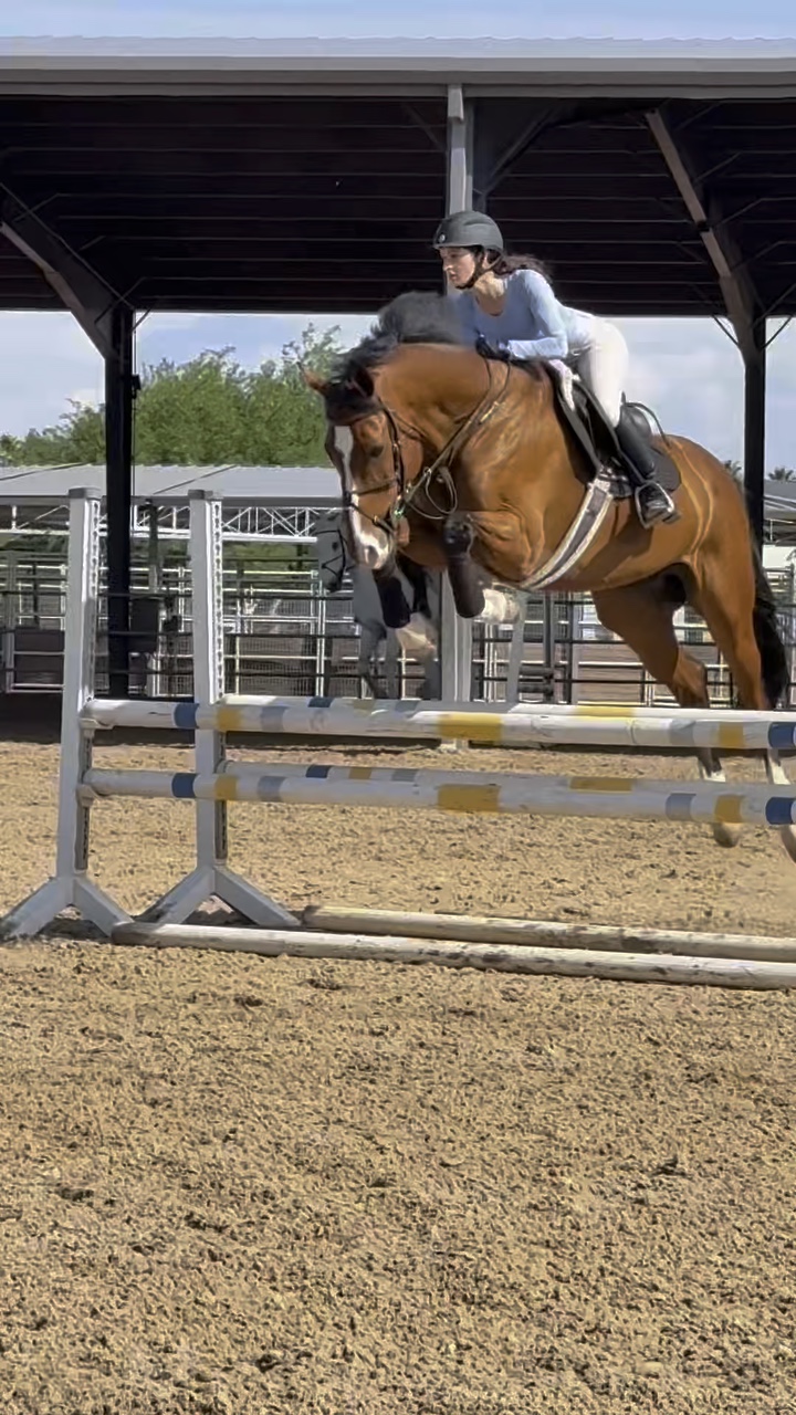 Horse slomo🤩🩵