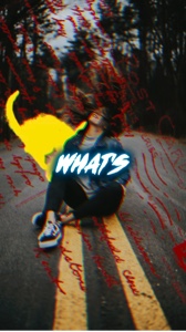 Cover Picture
