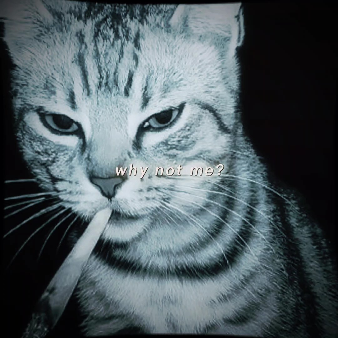 Why not me