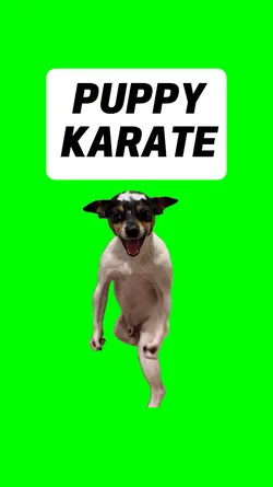 PUPPY KARATE