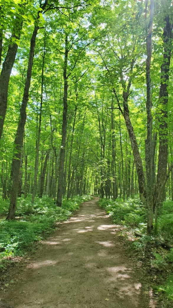 Edición de naturaleza