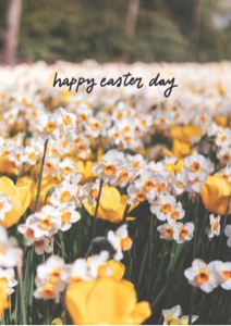 Frohe Ostern!