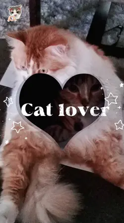 Cat lover