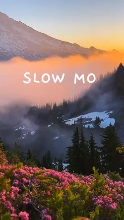Slow Mo Aesthetic