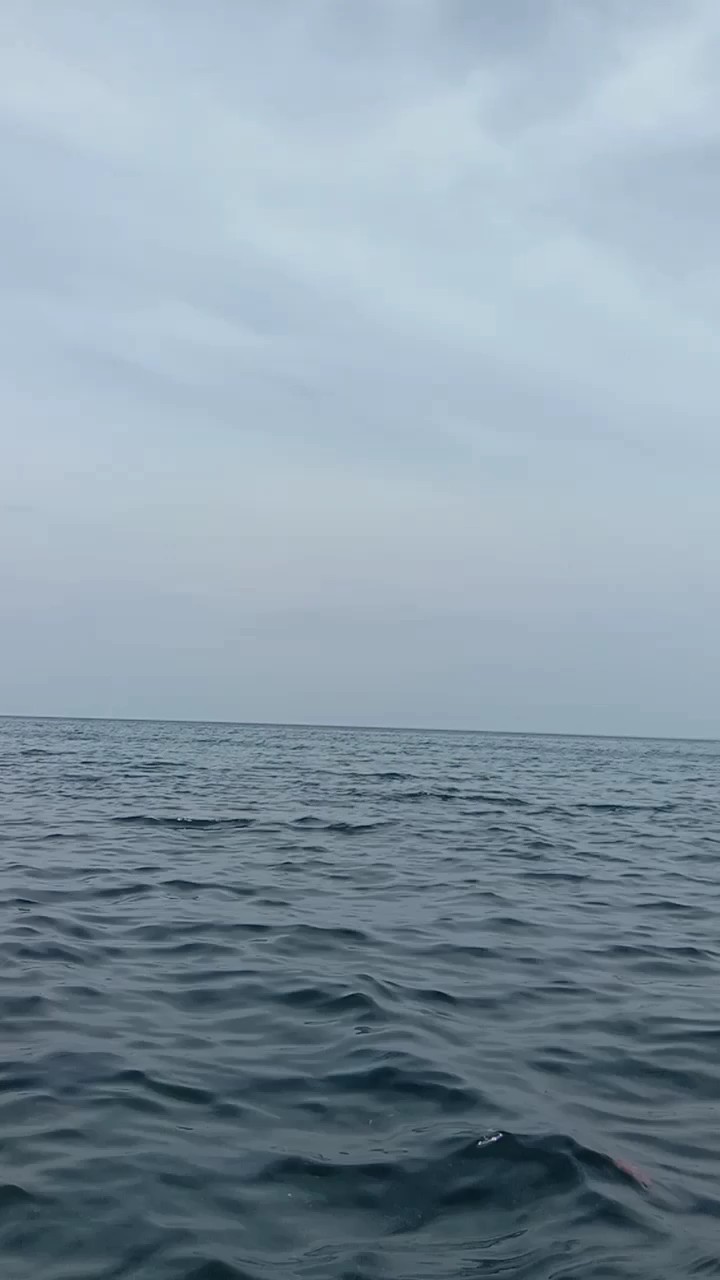 Sea