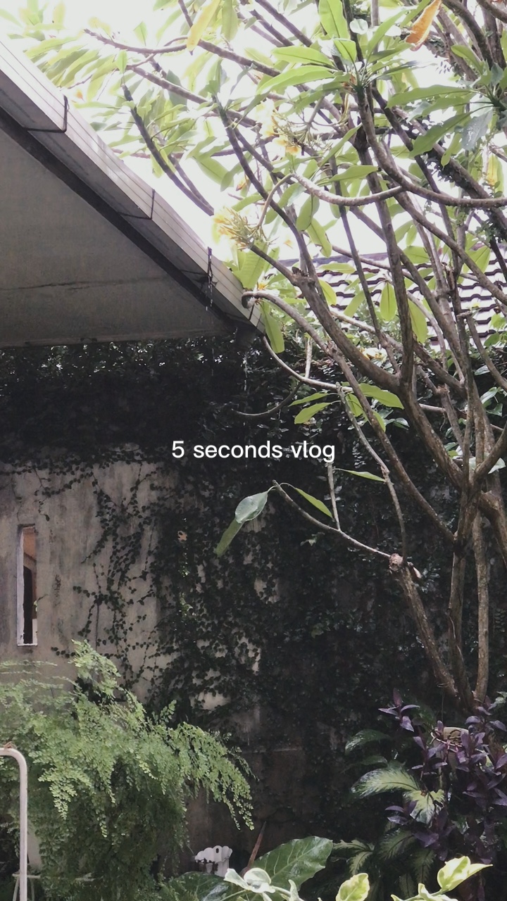 5 SECONDS VLOG