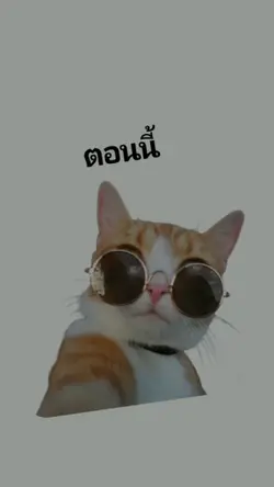 เมื่อก่อน×ตอนนี้