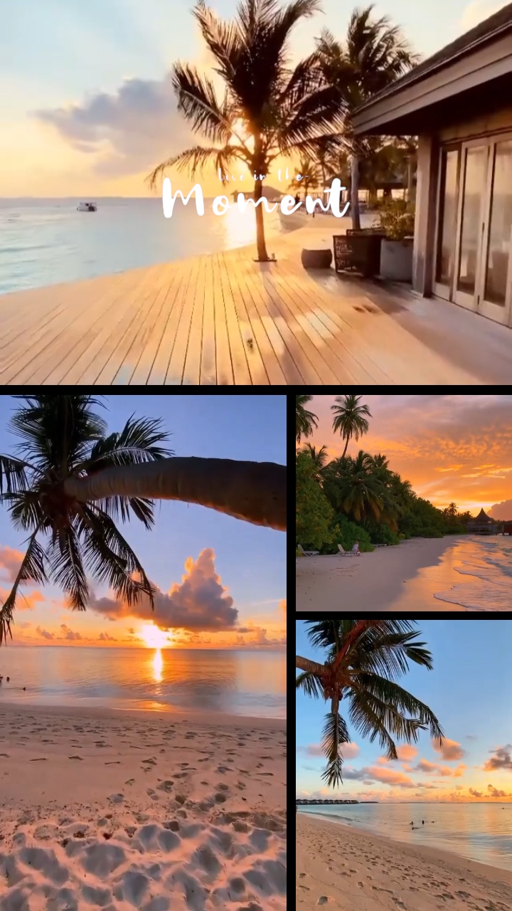 Grade De Vlog Viral 1207
