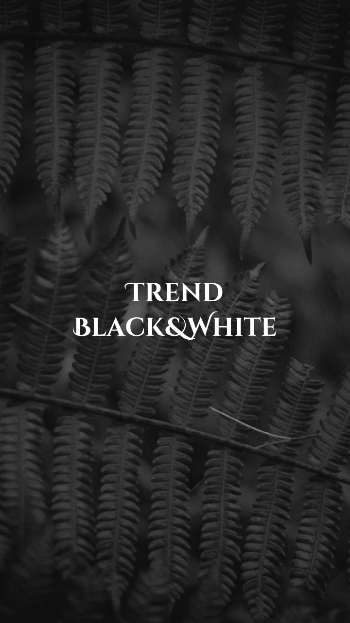 Tendencia Negro Blanco