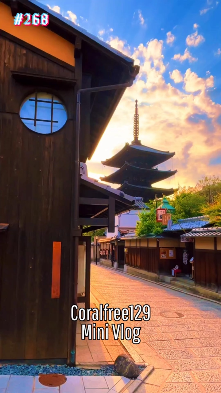 Todays Vlog Japan