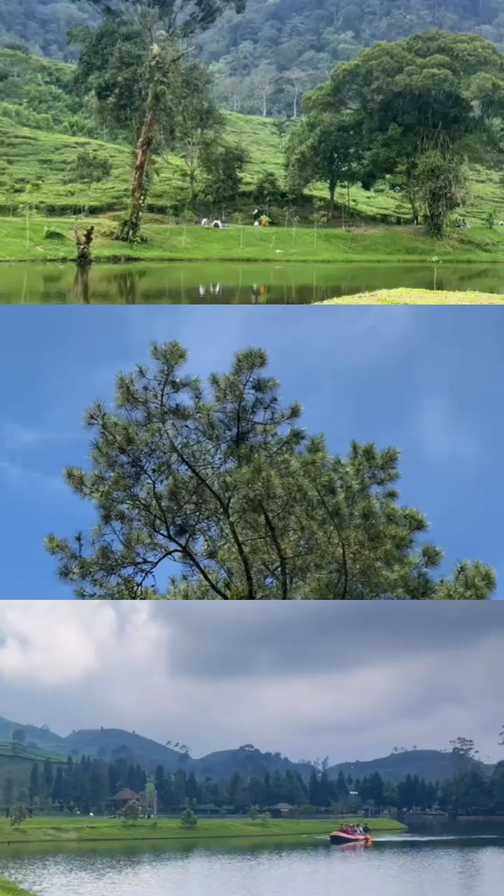 Bild 3 Video