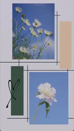 frame