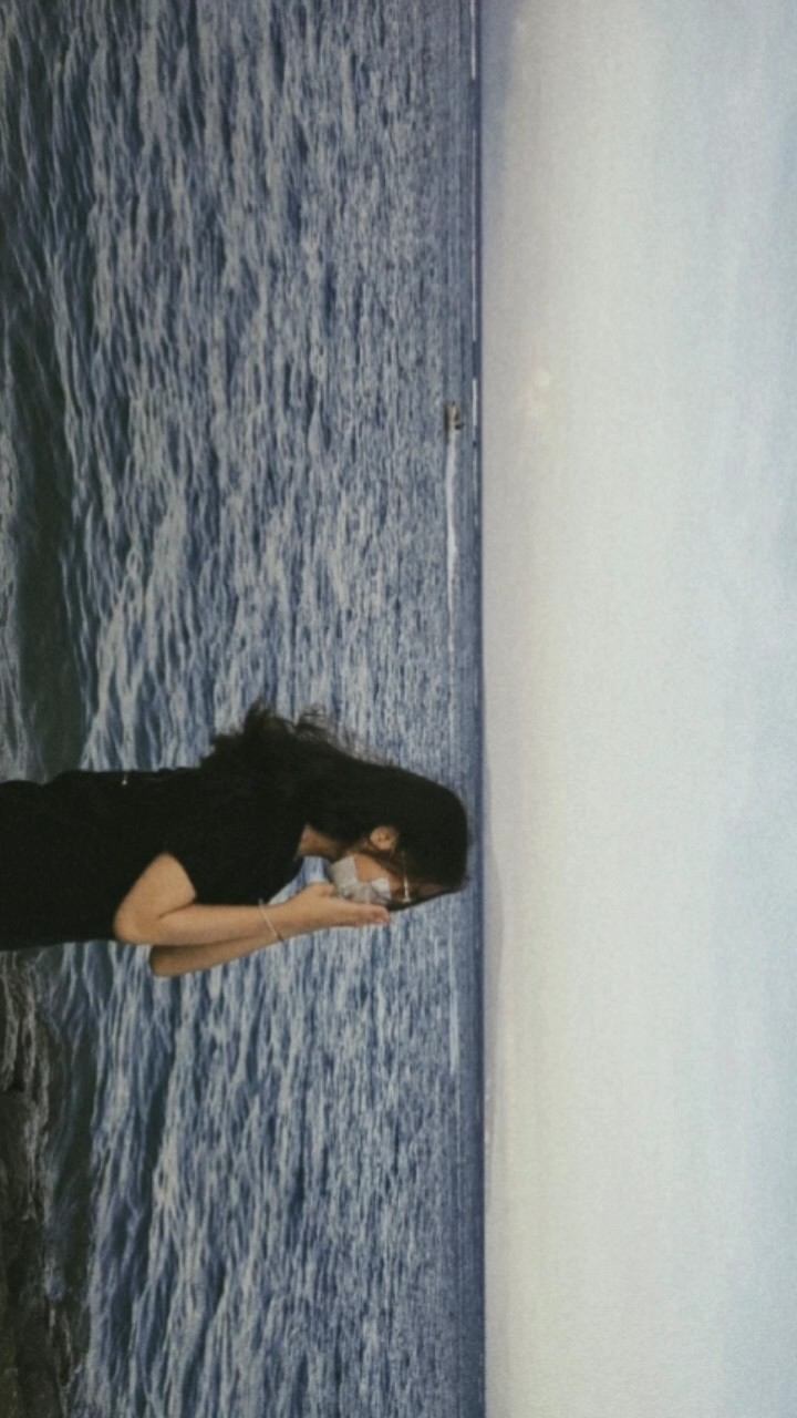 filter polaroid