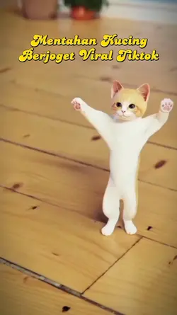 Kucing berjoget Tren