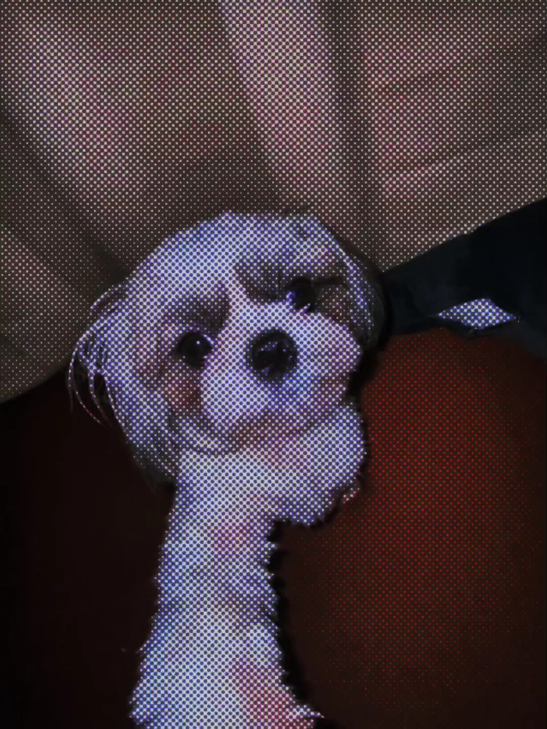 3 fotos