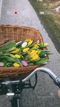Chợt nghe mùa Đông