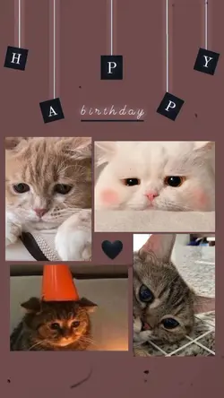 birthday lirik