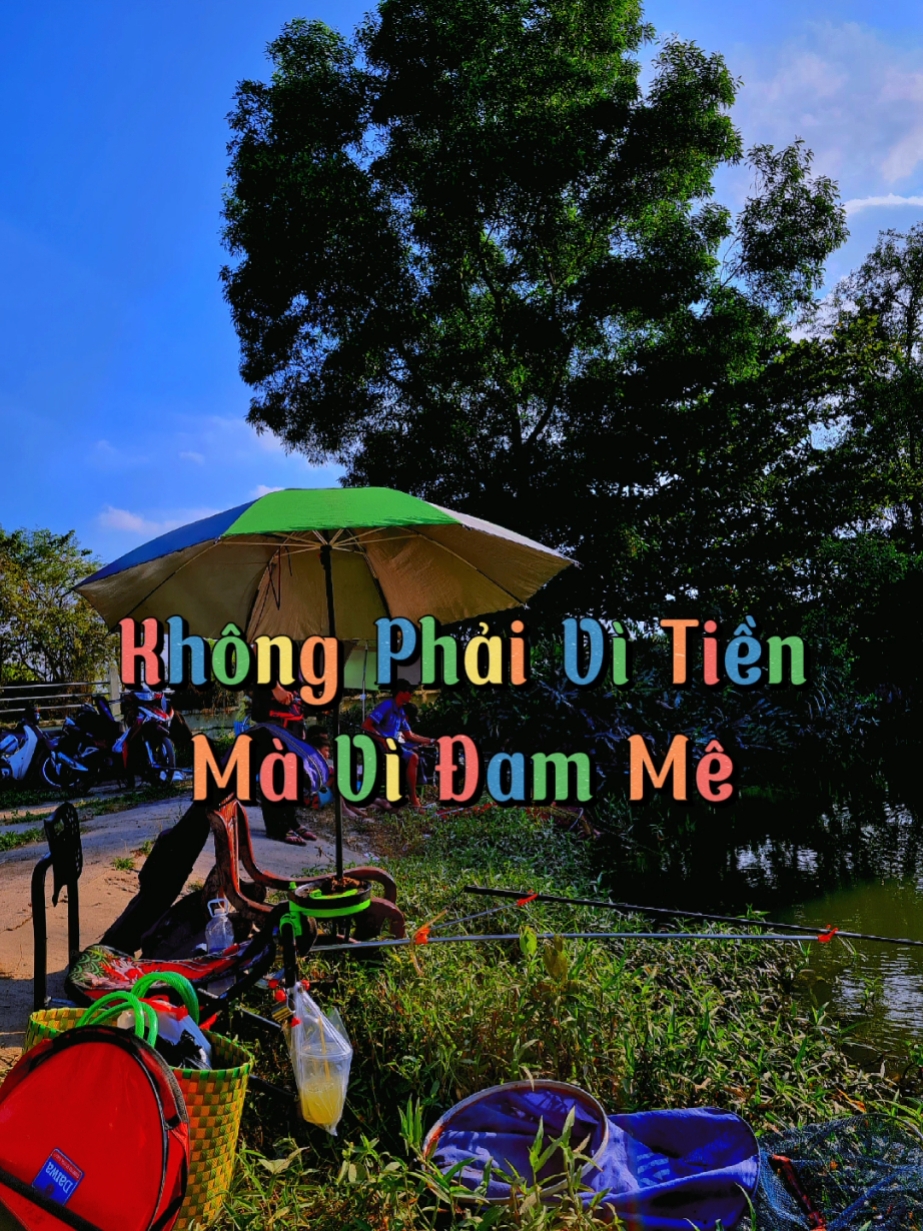 Mẫu Câu Cá
