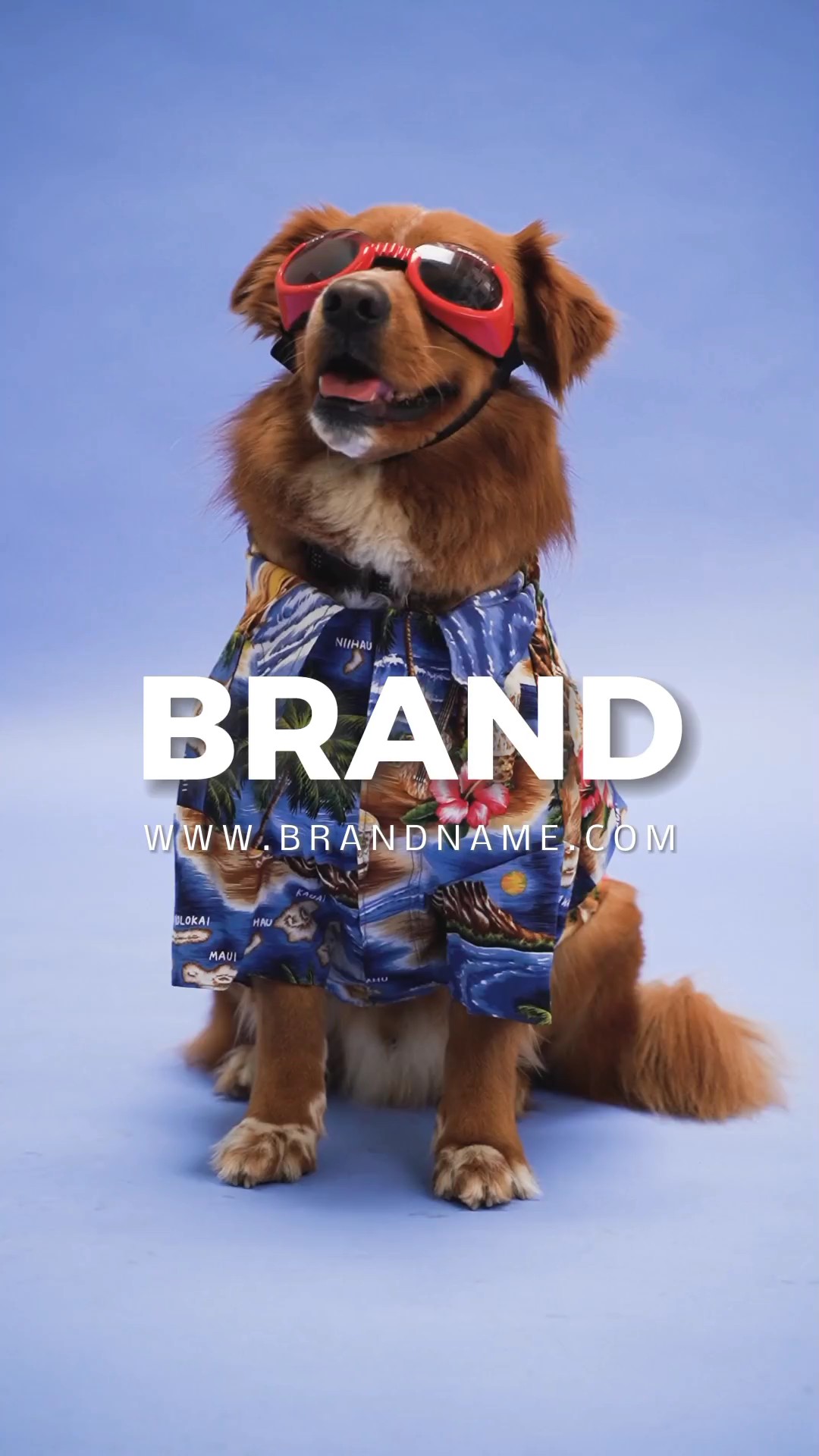 Venta del Día de las Mascotas