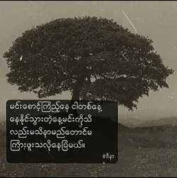 သူကြိုက်ခဲ့တဲ့song ​