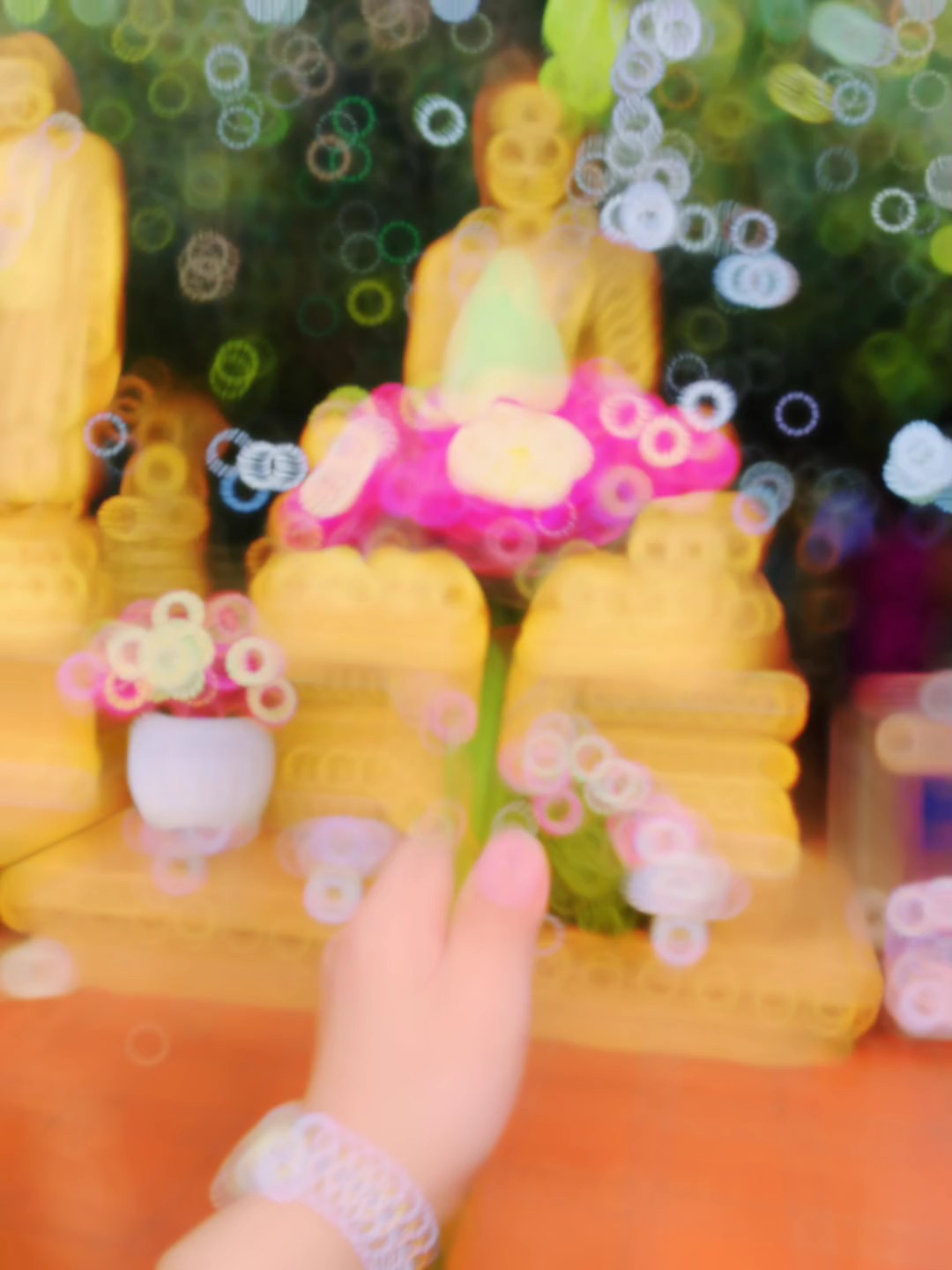 ផ្កាឈូក
