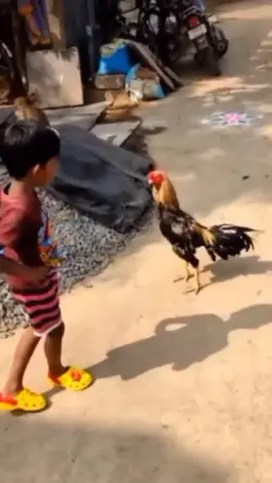 tendangan rembo