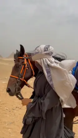 velocity arabic
