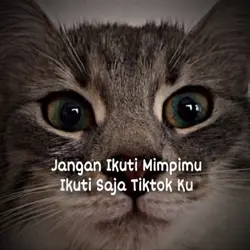 Ikuti Saja Tiktok Ku