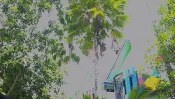 cinematik BAZAR