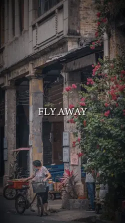 Fly Away