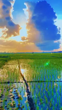 Filter Estetik Keren