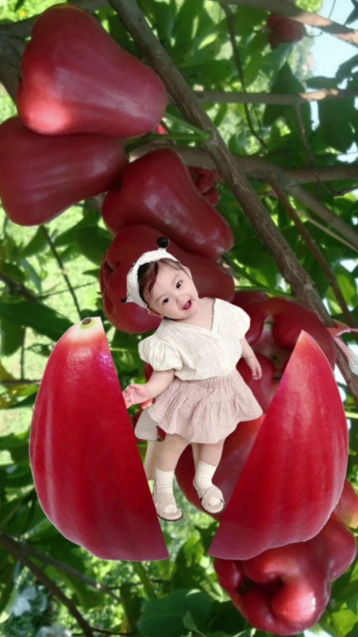 jambu air ⁷