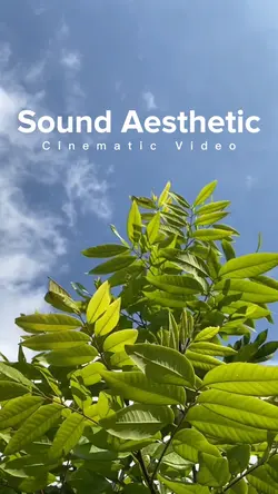 Cinematic Aesthetic