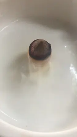 Nhạc Thiền Tịnh Tâm