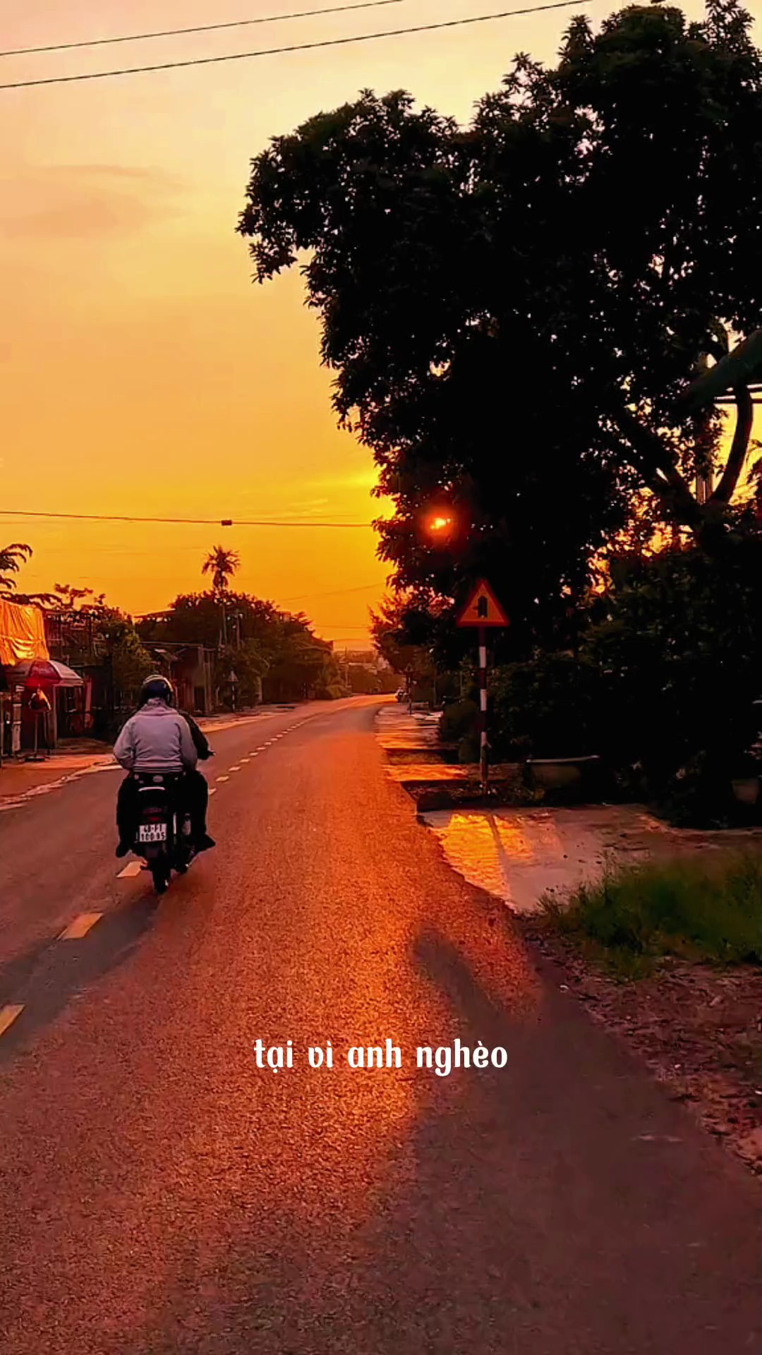 Mu Tâm Trng + Màu 